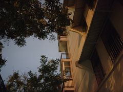 -老乡鸡(舒城路店)