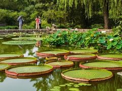 -国家植物园南园