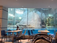 -帝企鹅自助餐厅•儿童岛•真企鹅(长隆企鹅酒店)