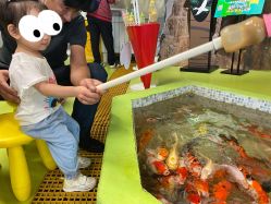 -七巧国萌宠乐园(龙湖天街店)