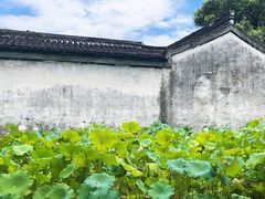 -兰亭风景区