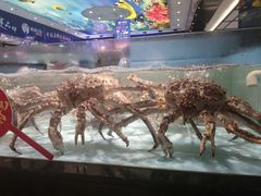 -尚海豆捞(乐虹坊店)