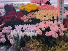 -越秀西湖花市(广州城市广场花卉店)