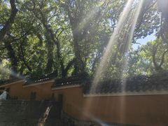 -普陀山风景名胜区-法雨禅寺