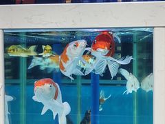 -名人坊·新派粤菜(河西奥体博览中心金鹰世界店)