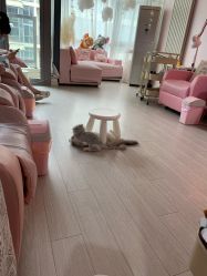 -Beauty Nails 美甲美睫皮肤管理