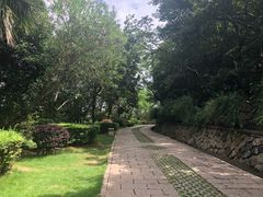 -青龙山公园