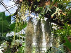 -国家植物园南园