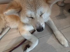 -YCHL Studios健身工作室(市二宫店)