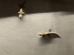 -Catail前苑(前门大街店)