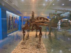 -国家自然博物馆