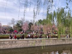 -元大都城垣遗址公园