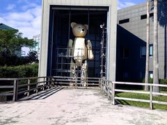 -济州岛泰迪熊博物馆