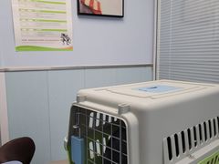 -纳吉亚猫专科动物诊疗中心(蒋宅口分院)