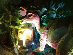 -恐龙探索乐园(磁器口店)