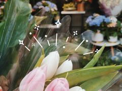 -循礼门鲜花花市(武汉循礼门店)