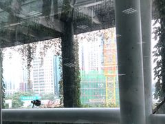 -厦门邮轮中心厦鼓码头(轮渡站)