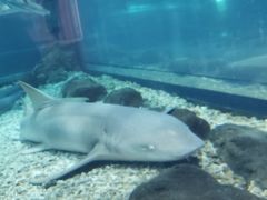 -福州罗源湾海洋世界旅游区