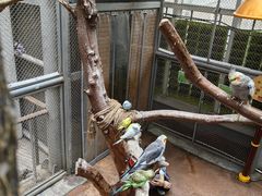 -正佳雨林生态植物园