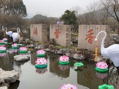-香雪海