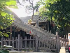 -晋祠公园