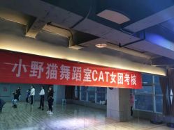 -Cat Dance小野猫舞蹈室