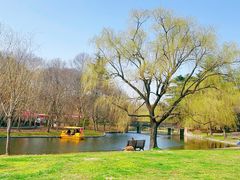 -上海共青森林公园