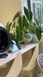 -安那般那皮肤年轻化ANAPANA