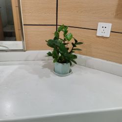 -重庆联合丽格美容医院