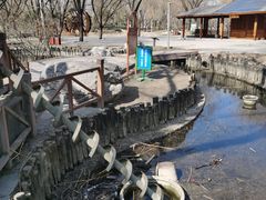 -海淀公园