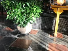-唐廊烤鸭店(工体店)