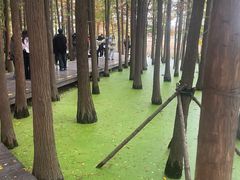 -云龙湖旅游景区