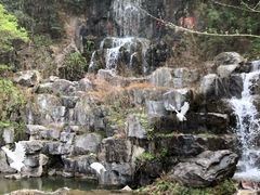 -陶祖圣境风景区