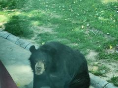 -北京野生动物园