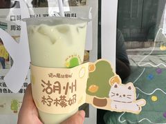 -猫的魔法密林(衣裳街店)