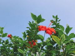 -白沙门生态公园