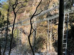 -藏龙百瀑风景区