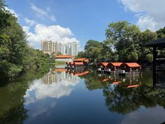 -侨美·唐荔园·40年地道粤菜