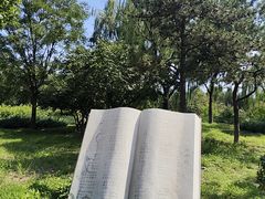 -太阳宫公园