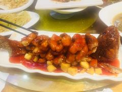 -东北人粗粮饺子坊(南山店)