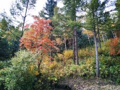 -塞罕坝国家级自然保护区