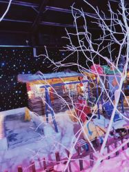 -圣名游乐城冰雪大世界