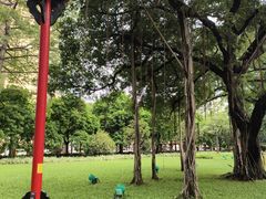 -广州中山纪念堂