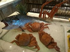 -苏州吴江盛虹万丽酒店-燃餐厅(盛泽店)