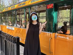 -合肥滨湖国家森林公园