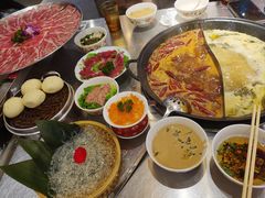 -朱光玉火锅馆(正弘城店)