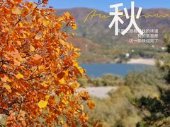 -十三陵水库