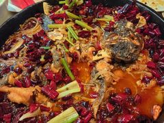 -老板恋上鱼(恒隆广场店)