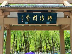 -柳浪闻莺公园