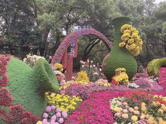 -杭州植物园